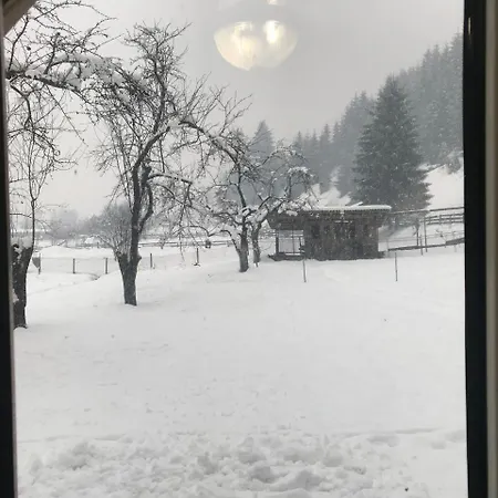 Guest house Shelest Vody