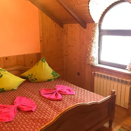 Guest house Shelest Vody Ruska Mokra