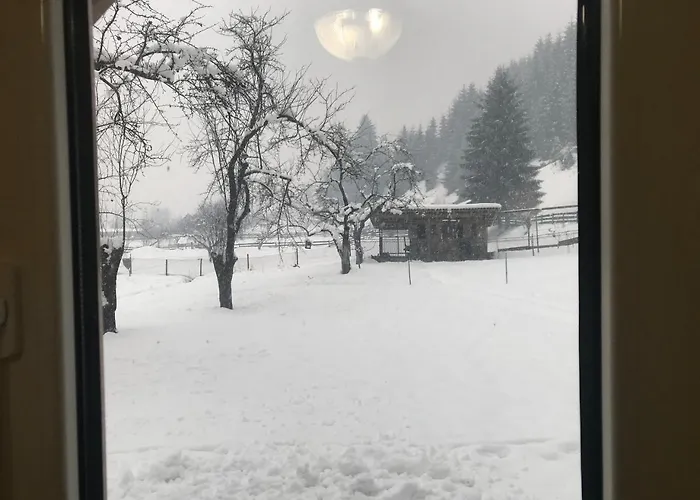 Gæstehus Shelest Vody